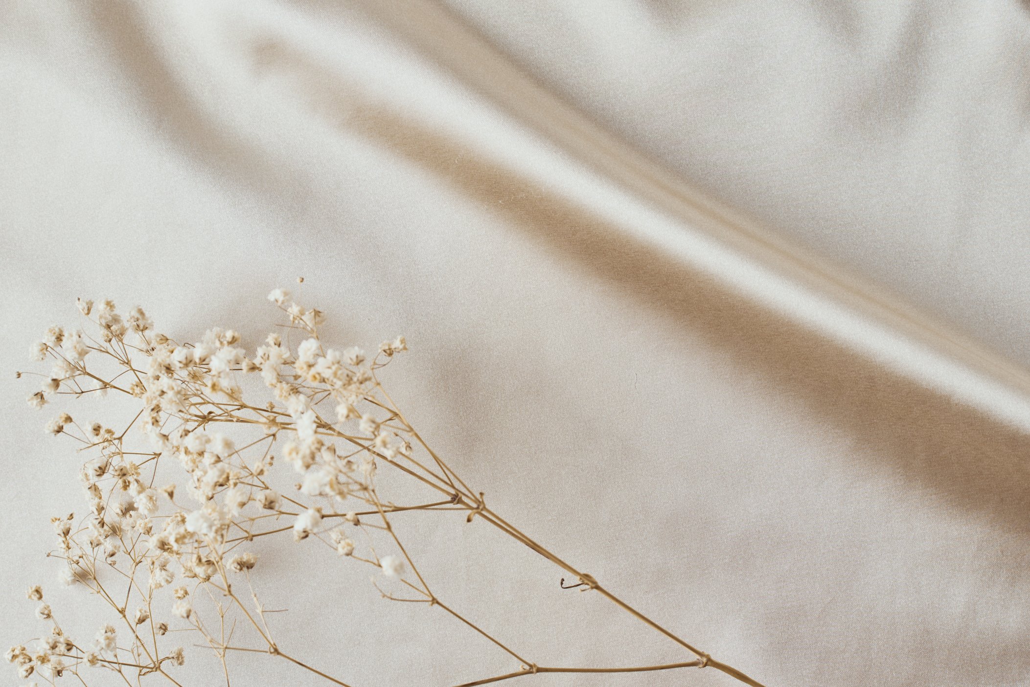 White Flower Stem on Beige Silk Fabric Background